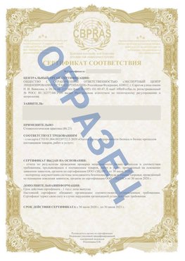Образец Сертификат СТО 01.064.00220722.2-2020 Котельниково Сертификат СТО 01.064.00220722.2-2020 